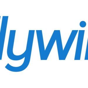 FLYWIRE